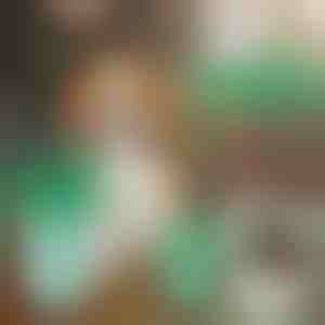 Šolja za čišćenje psećih šapa | PAWSANI