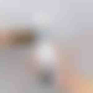 Prenosna sigurnosna kamera BULBCAM