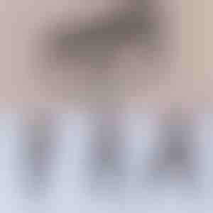 Višenamenska pilates šipka | TONEBAR