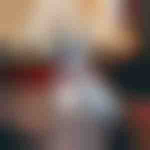 Ogrlica za pse sa pahuljom snega | DOGICOLLAR