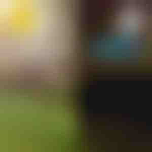 Solarne tropske baštenske lampe | LUMIPALM